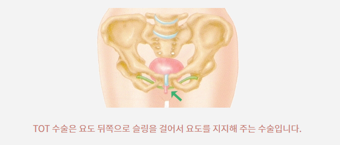 세느산부인과의원 이미지