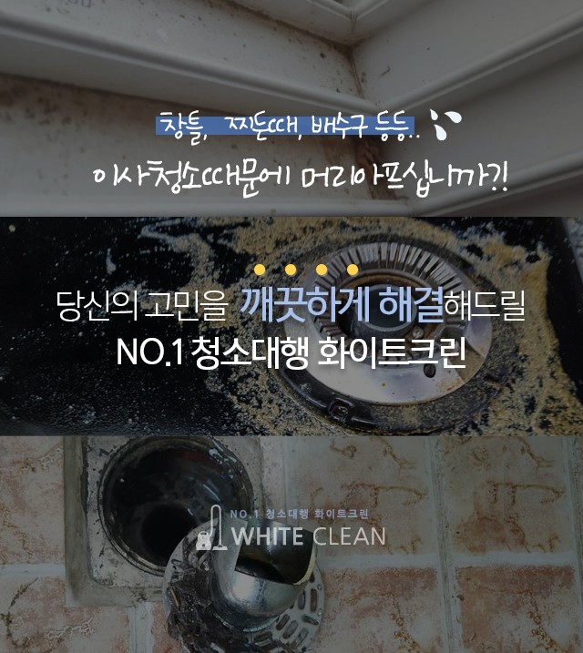 크린화이트 이미지