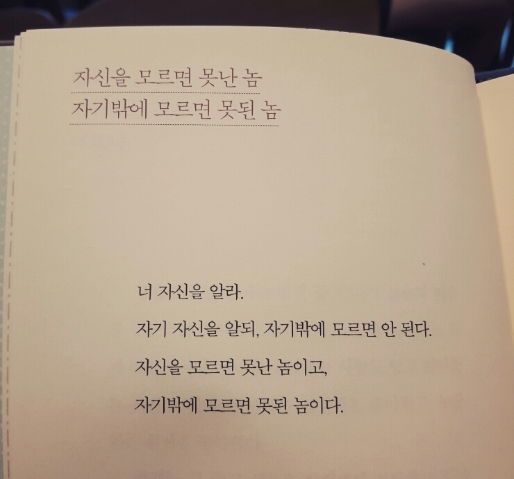오블라디 이미지