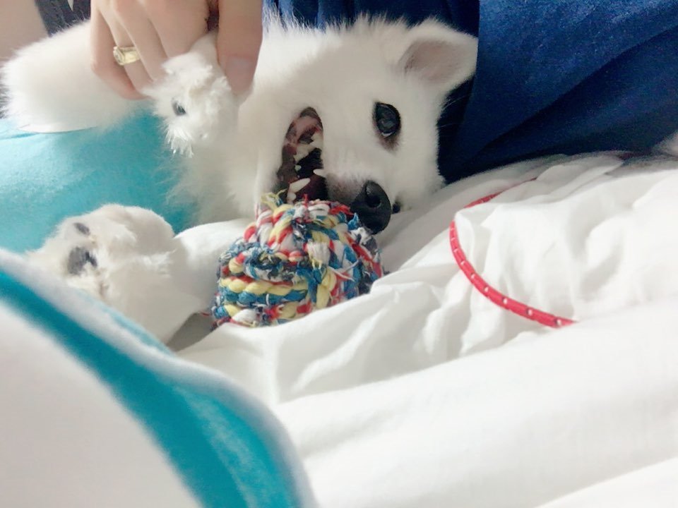 구통치킨 이미지