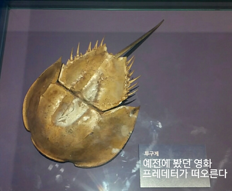 몬스시 이미지