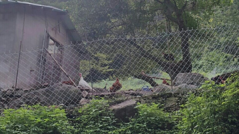 폭포가든 이미지
