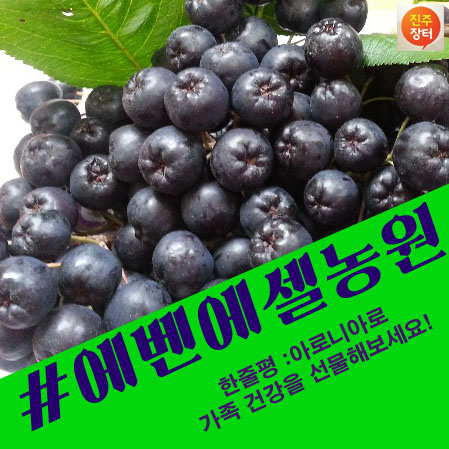 에벤에셀농원 이미지