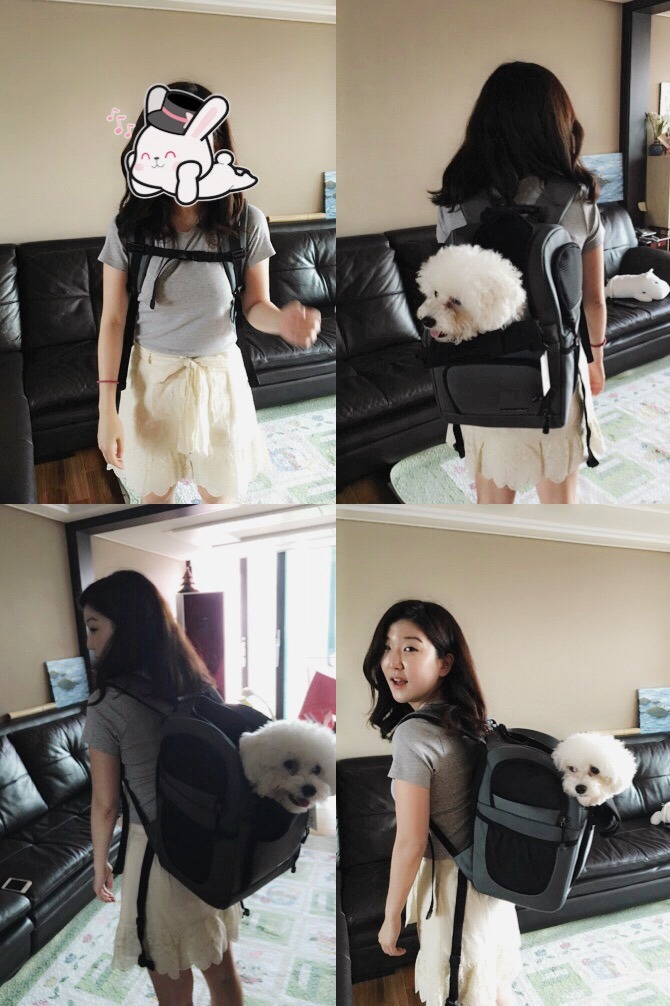 펫츠바이 이미지