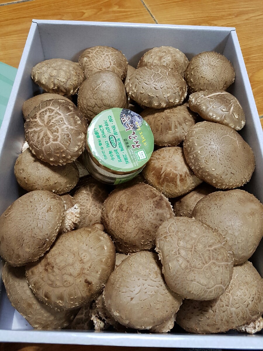 유림청과 이미지