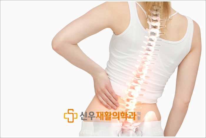 척추교정 이미지