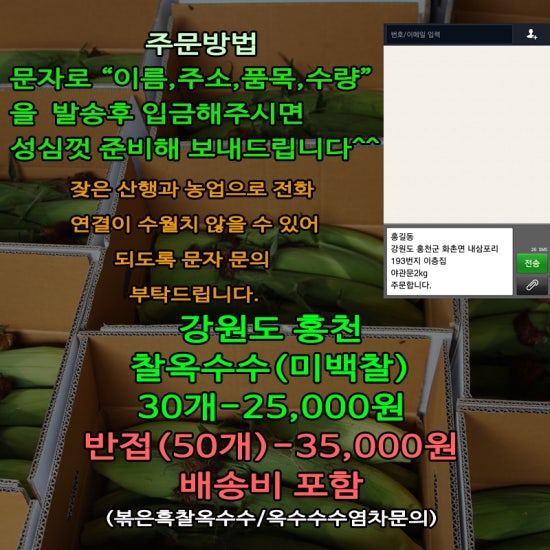 홍천노내골농장 이미지