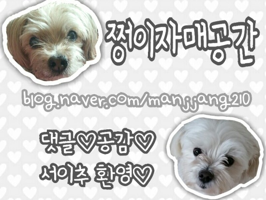 보성선운제다 이미지