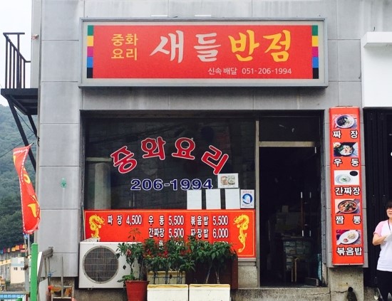 새들반점 이미지
