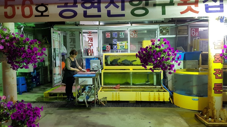 공현진항구횟집 이미지