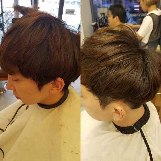 장스헤어 이미지