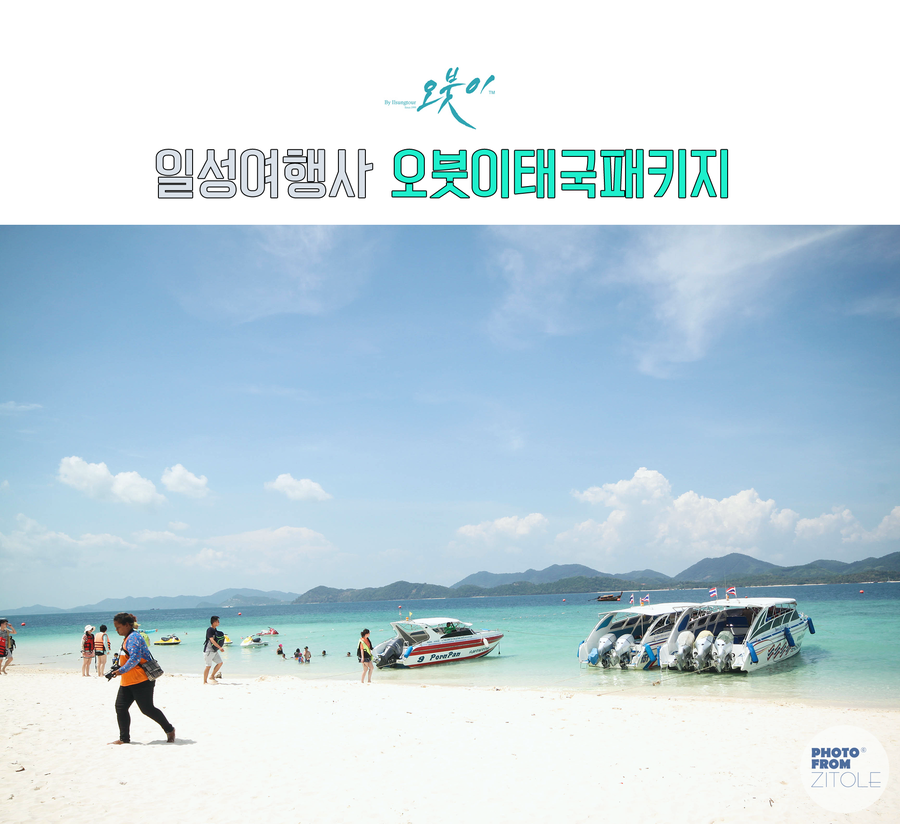 일성여행사 이미지