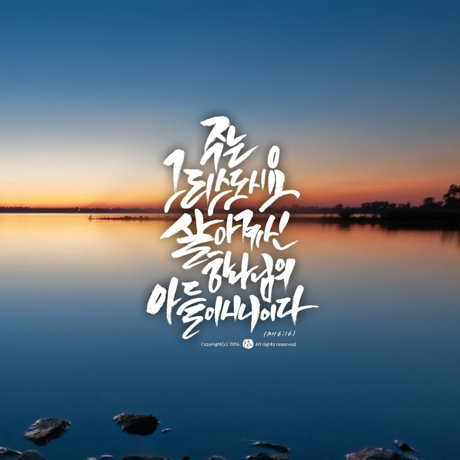 캘리 이미지