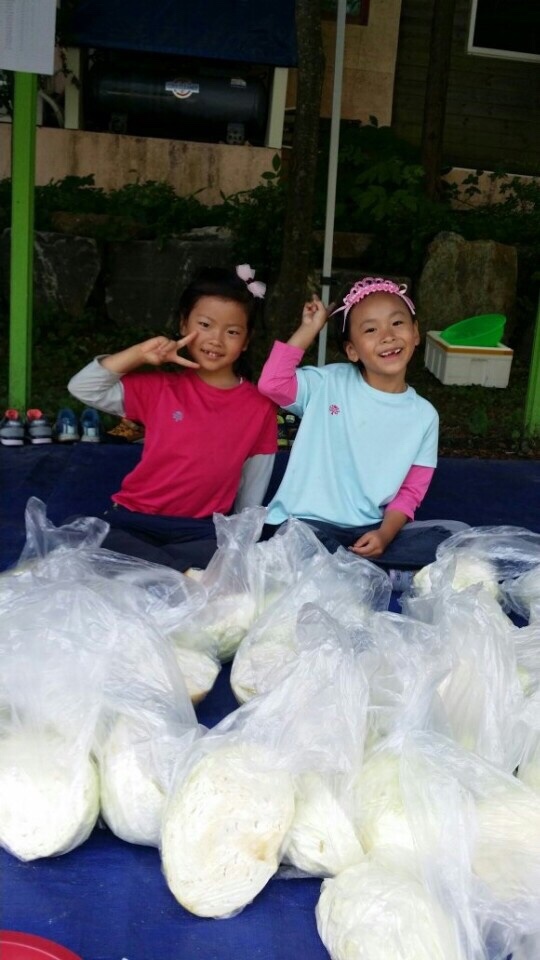 꿈밭유치원 이미지