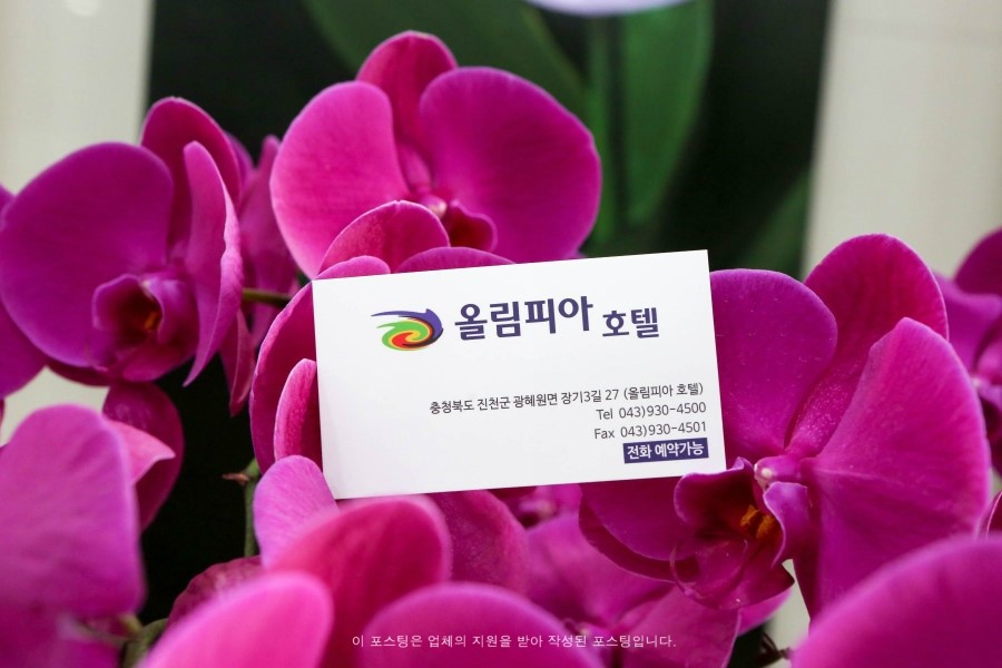 올림피아모텔 이미지