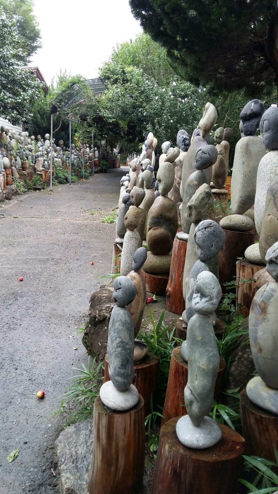 제이랜드 이미지