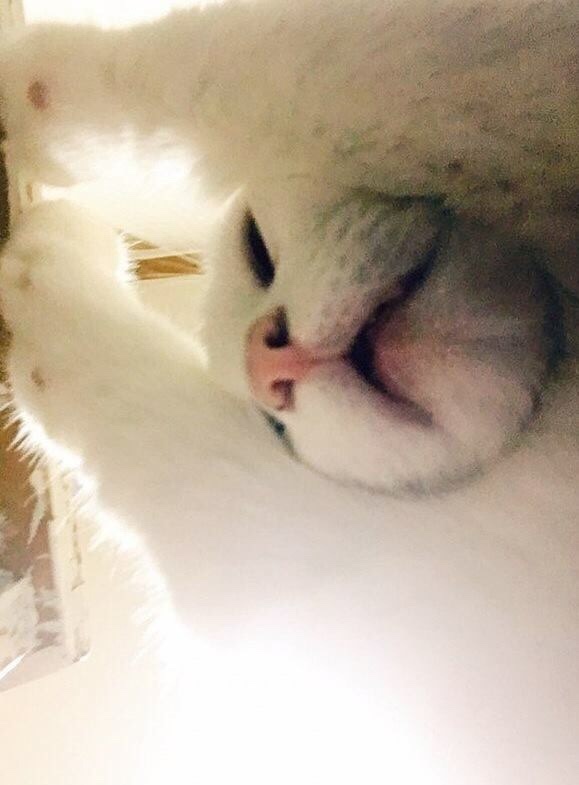 쓰담 이미지