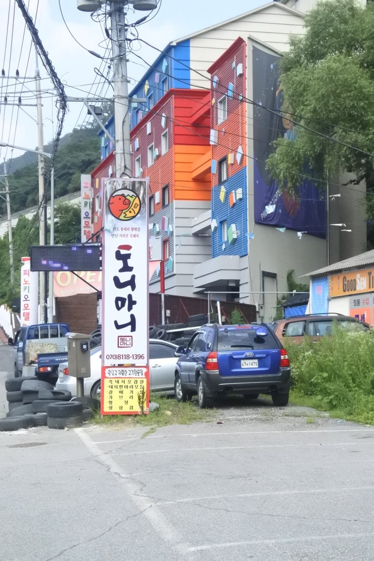 도니마니 이미지