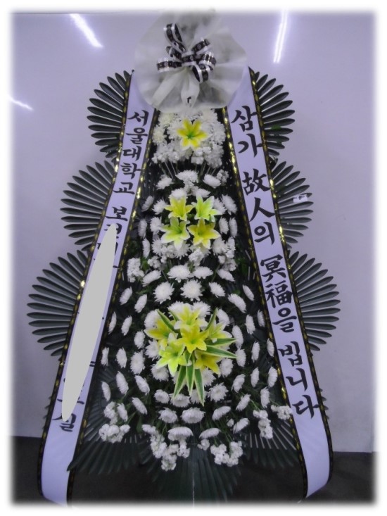야탑동 351 (분당차병원) 이미지