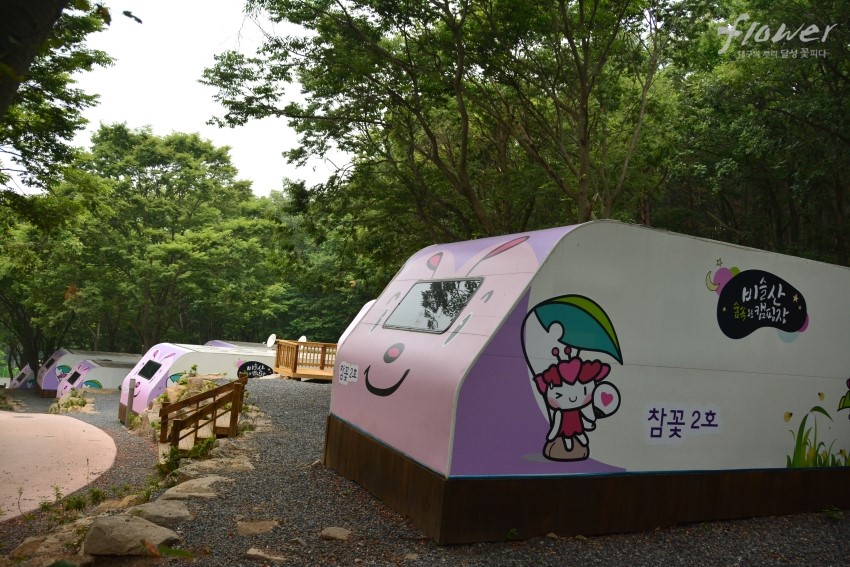 비슬산 숲속 오토캠핑장 이미지