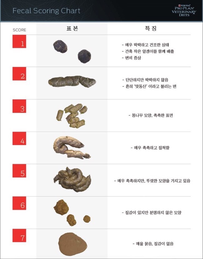 (주)리치 이미지
