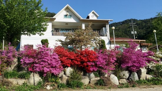 들꽃피는풍경 이미지