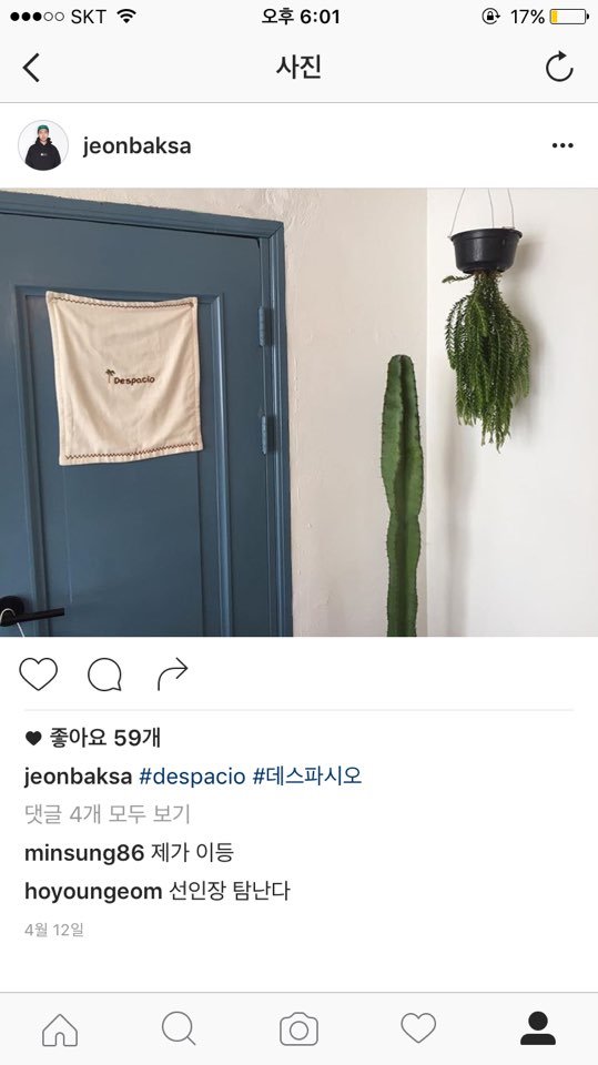 데스파시오 이미지