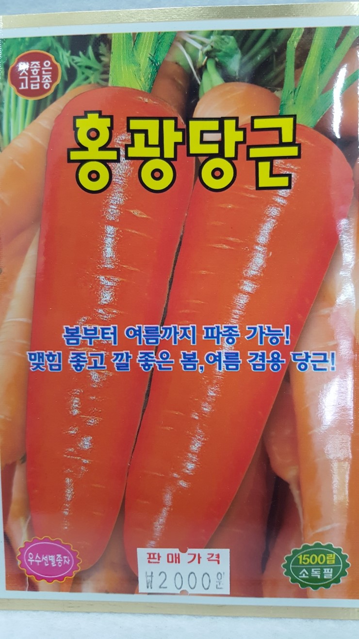 빨간당근 이미지