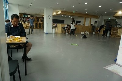 부천 강아지 수영장 & 애견카페 커멍커멍 이용 후기 — 사진 15