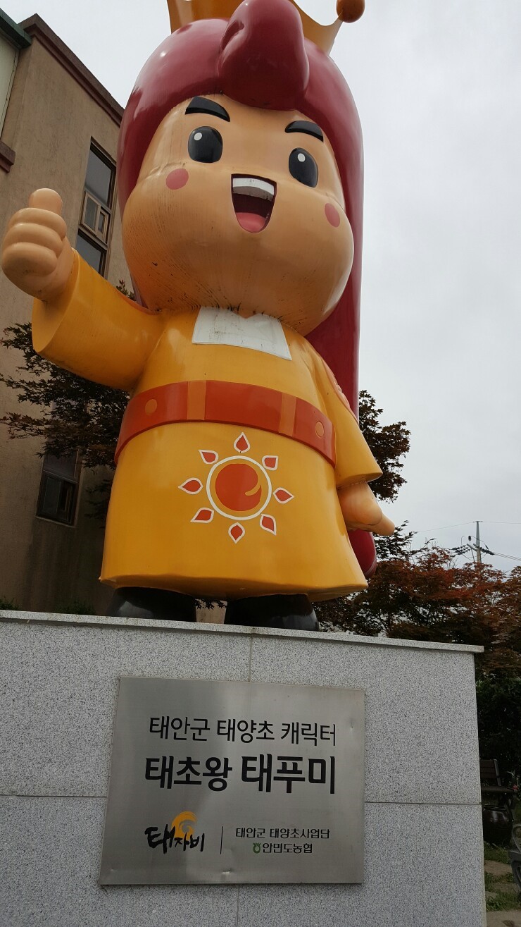 안면도농협하나로마트 이미지