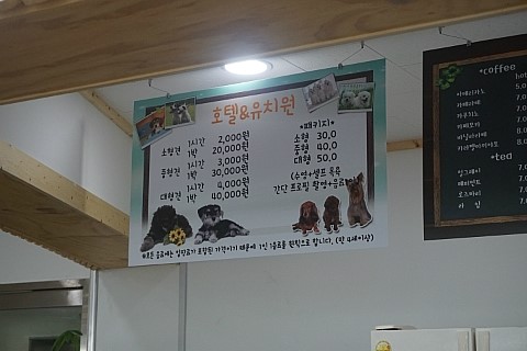 부천 강아지 수영장 & 애견카페 커멍커멍 이용 후기 — 사진 6
