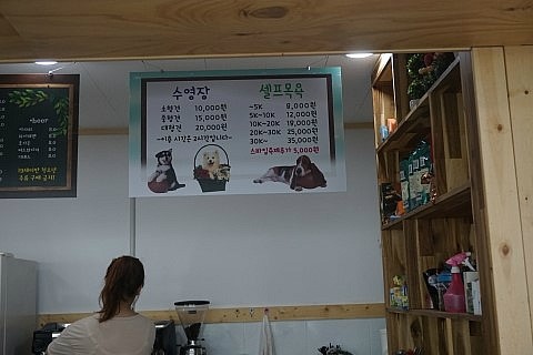 부천 강아지 수영장 & 애견카페 커멍커멍 이용 후기 — 사진 17