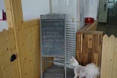 부천 강아지 수영장 & 애견카페 커멍커멍 이용 후기 — 사진 8