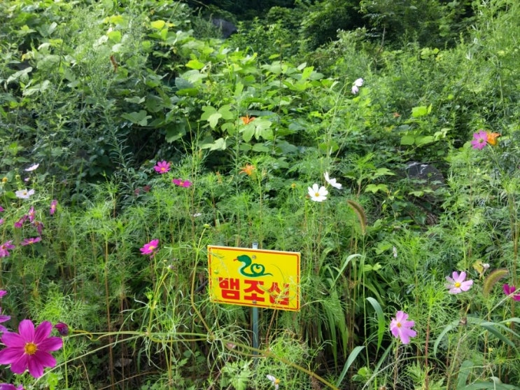 경포중학교 이미지