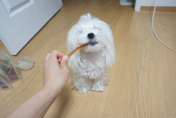 맛나닭 이미지