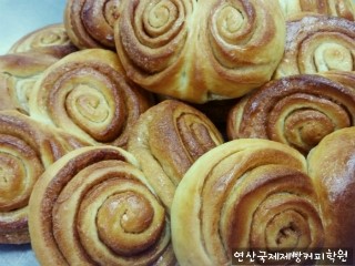 정제과 이미지