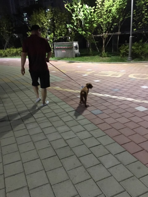 (주)누리365 이미지