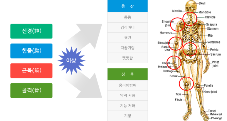 안전보건컨설팅 이미지