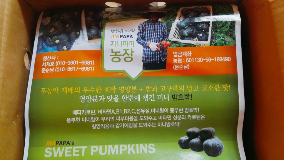 지니파파 이미지