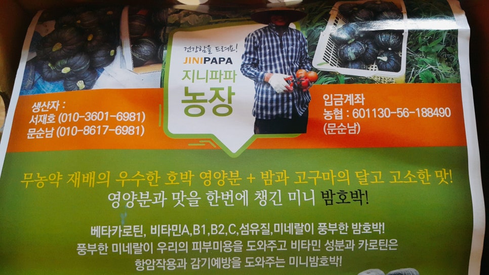 지니파파 이미지
