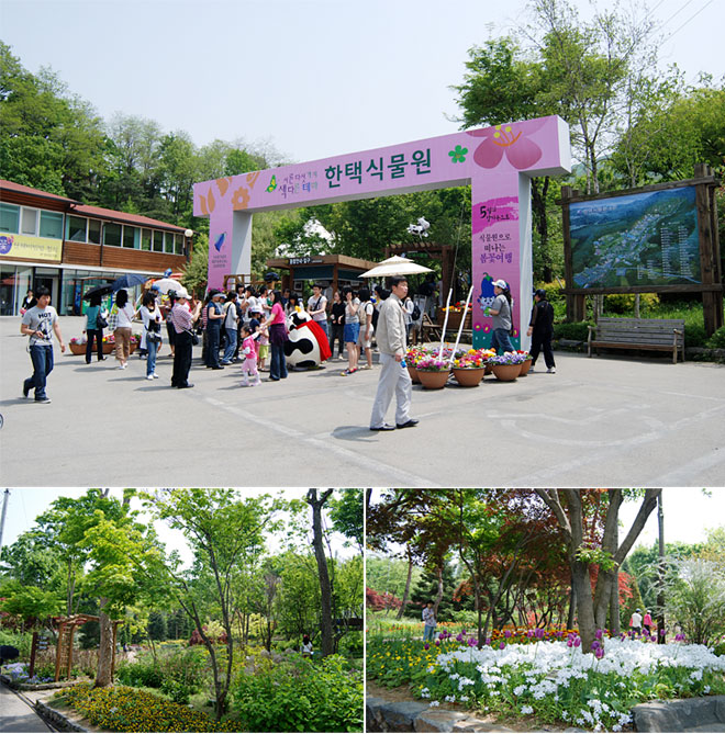태양꽃식물원 이미지