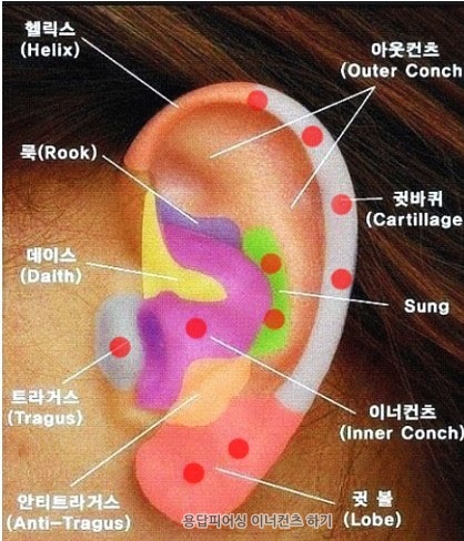 티피 시스템 이미지