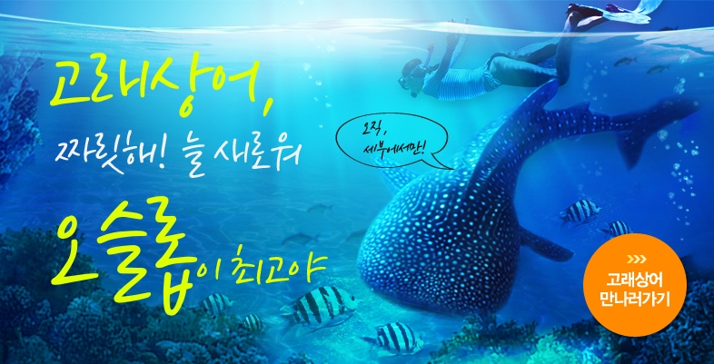 세부에서뭐하지 이미지