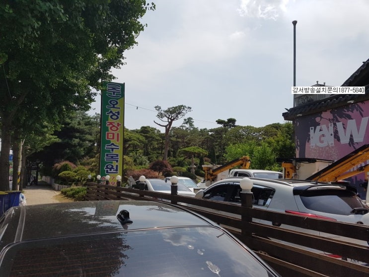 오성장미수목원 이미지