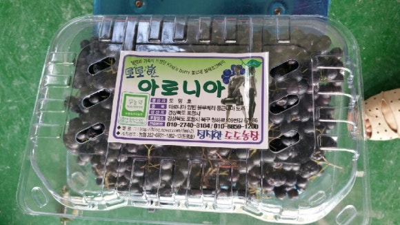 도선농장 이미지