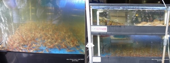 스타크랩 이미지