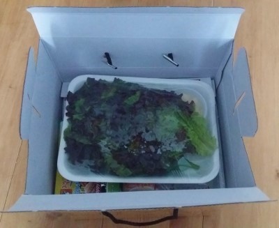 잭아저씨족발보쌈 이미지