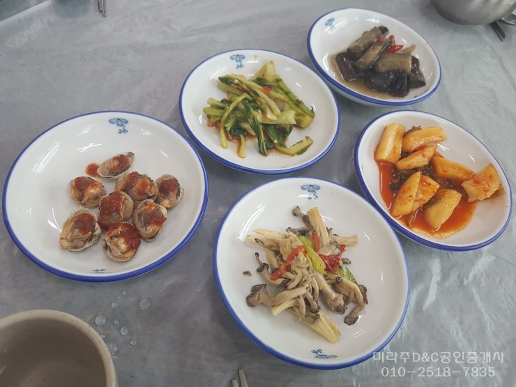 호미곶참가자미 이미지
