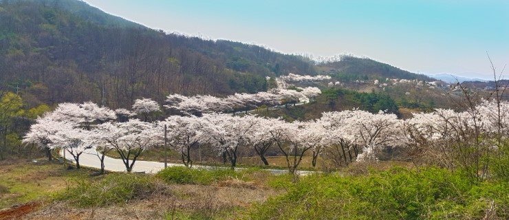 호수펜션 이미지