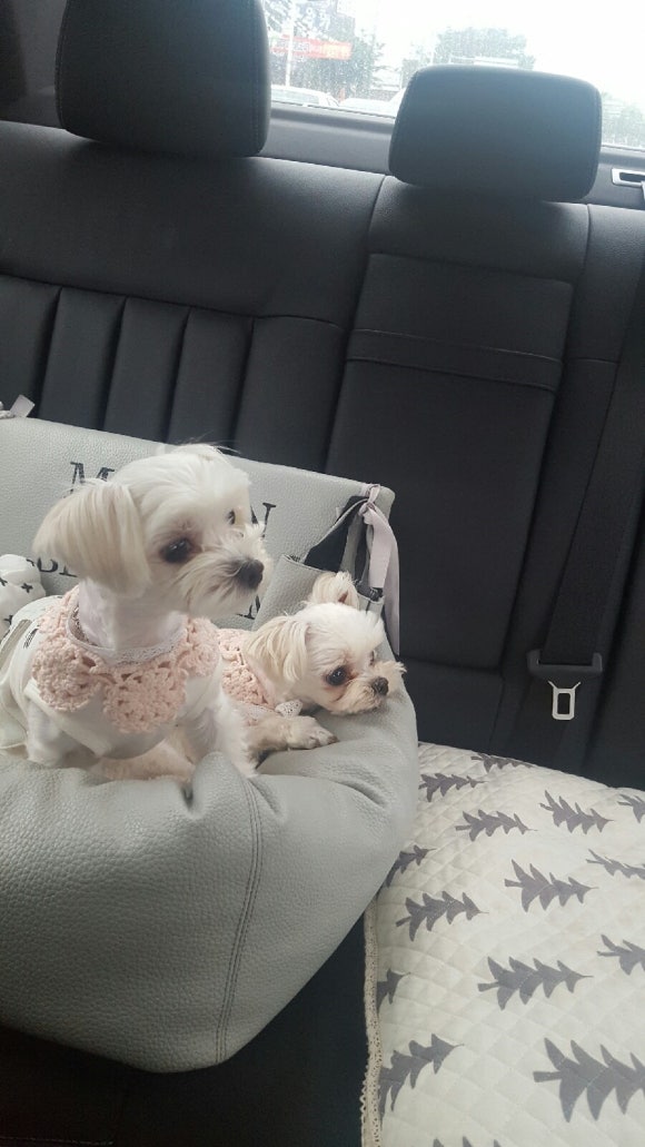 두복 이미지